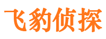 海拉尔侦探公司